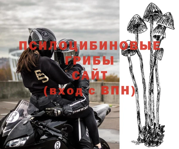 каннабис Каменка