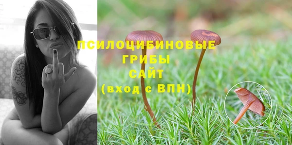 каннабис Каменка